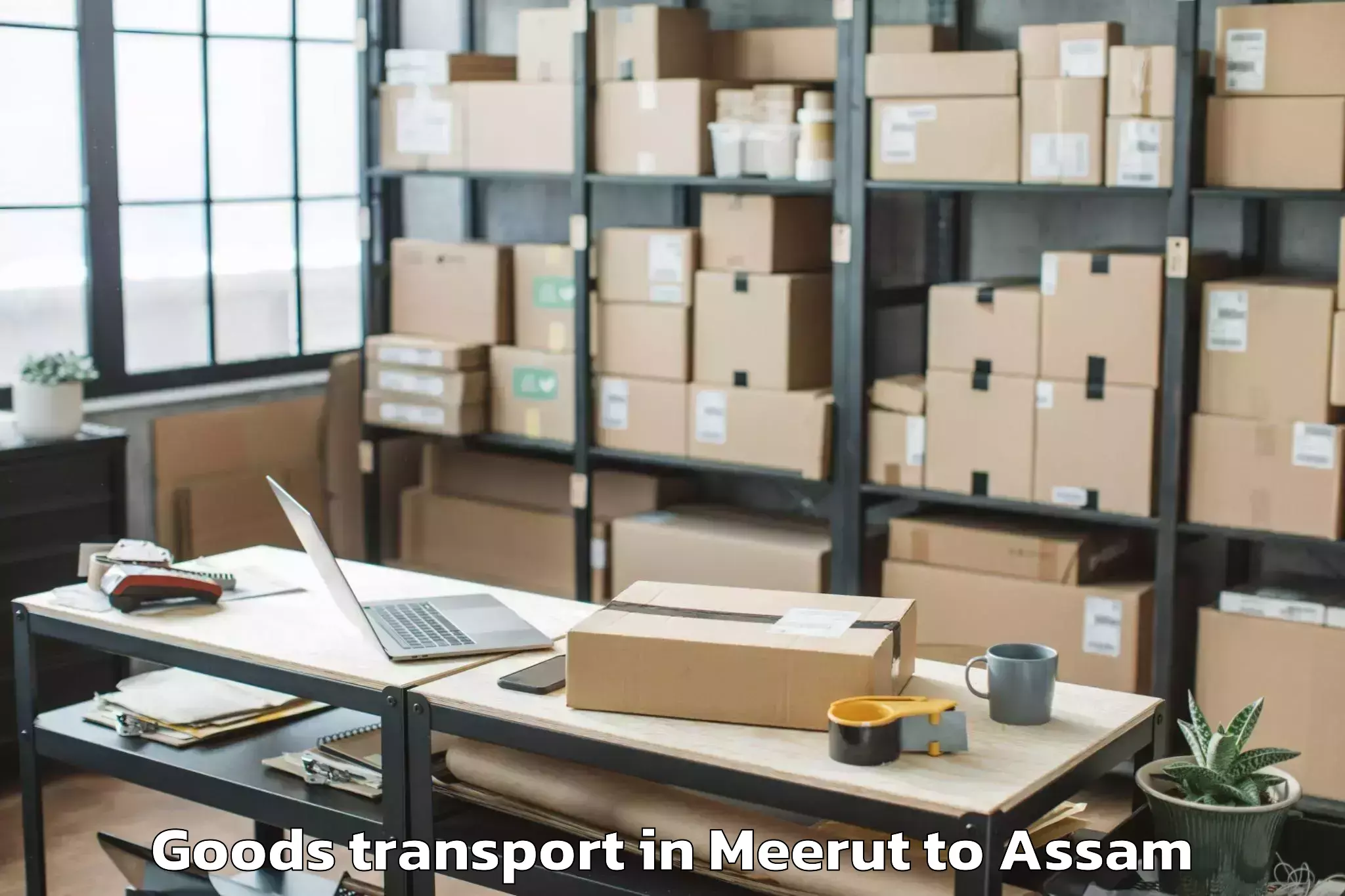 Quality Meerut to Sarupathar Goods Transport